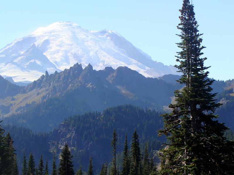 Rainier 975.jpg